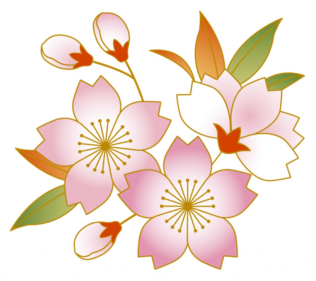 遅咲きで名高い関東の桜!穴場スポットはココにあった